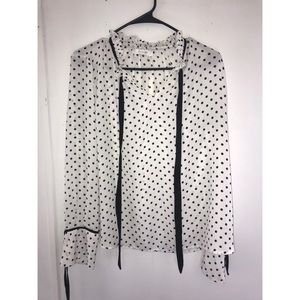 Polk-a-dot sheer dress shirt